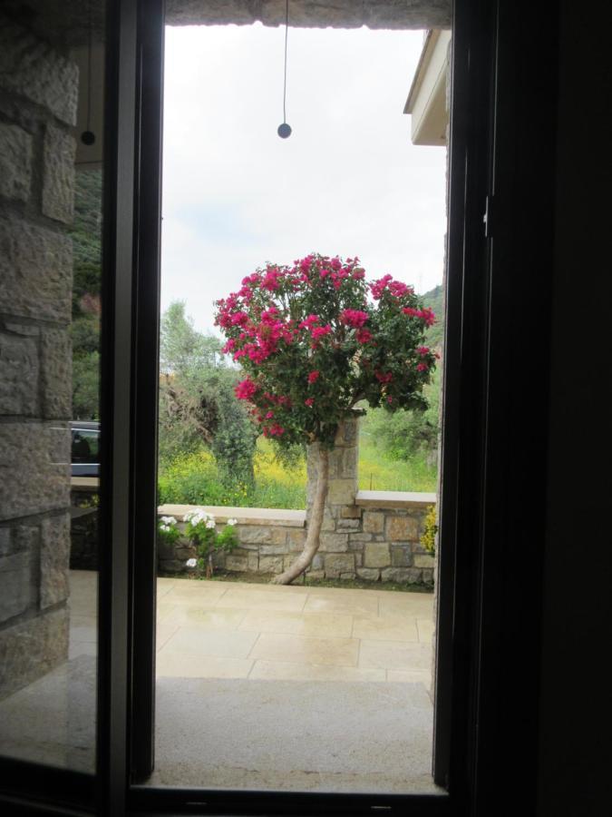 Seaside Retreat House Villa Paralia Sergoulas Bagian luar foto